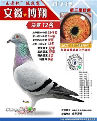 三关鸽王总冠军