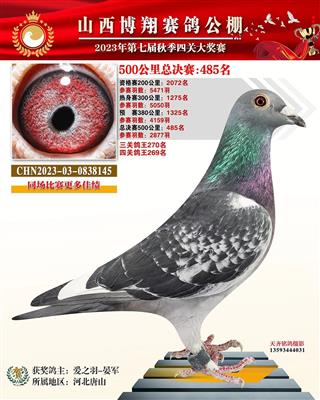2023年山西博翔公棚成绩鸽