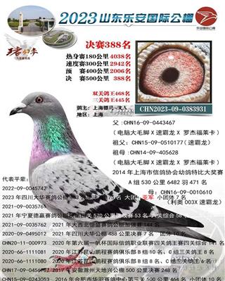 骠马3931