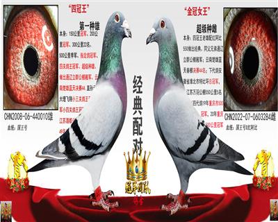 四冠王 X 女儿金冠王后