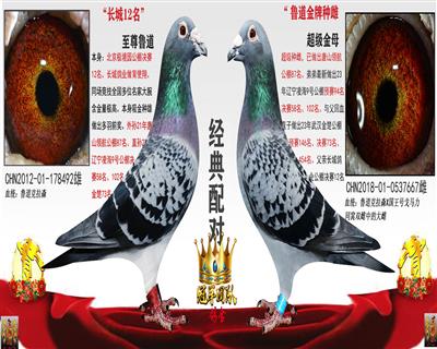 长城鲁道父女配