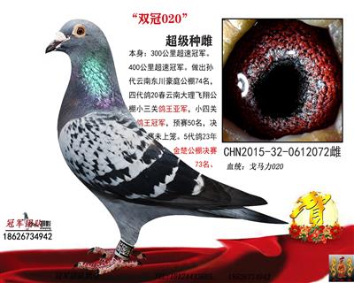 冠军团队：“王者之王020”双冠020