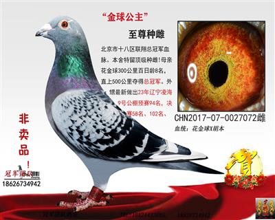 顶级“金球公主”