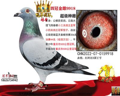 国王家族“领冠号”