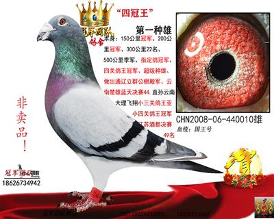 “国王号”四冠之王