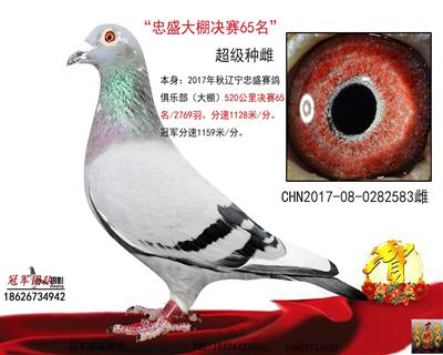 忠盛VIP决赛65位