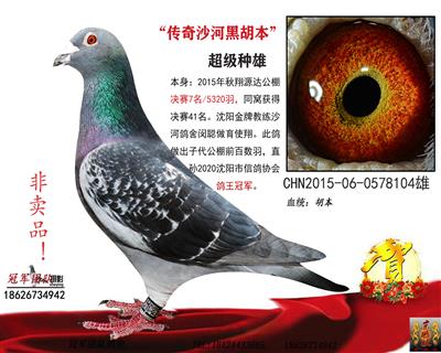 翔源达决赛7名（惠翔大团体家族）