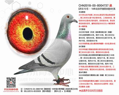 【开尔737】18年北京开创四关综合5名