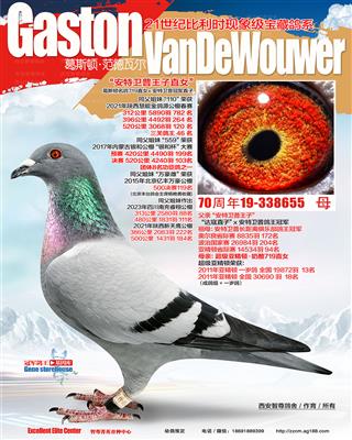 安特卫普王子直女