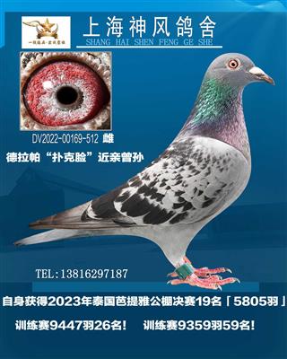 泰国芭提雅决赛19名！