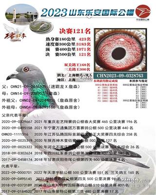 骠马8763