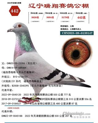 骠马9147