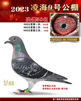 辽宁凌海9号公棚决赛58名