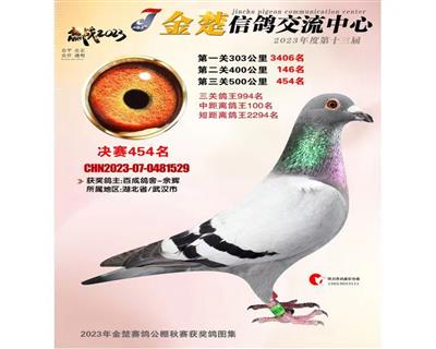 武汉金楚公棚决赛454名