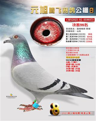 2023元旭腾飞赛鸽公棚决赛98名