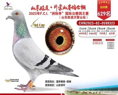 2023年山东胜道沂蒙山公棚决赛629名