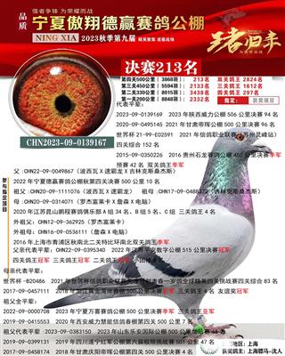 骠马9167