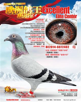 奶酪718直女柯恩娜