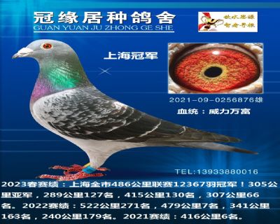 上海全市500公里总冠军