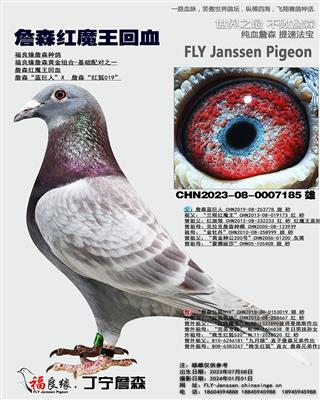 詹森红魔王回血