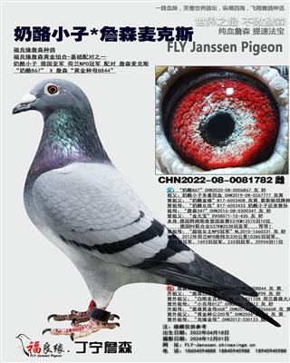 奶酪小子*詹森麦克斯