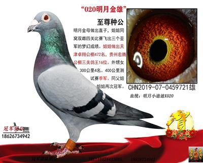 020明月黄金种雄