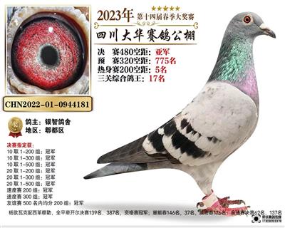 四川大华决赛亚军