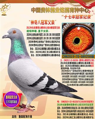 “神奇教父258”【八冠女王父亲】