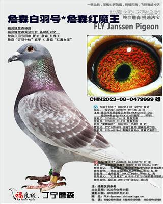 詹森白羽号*詹森红魔王