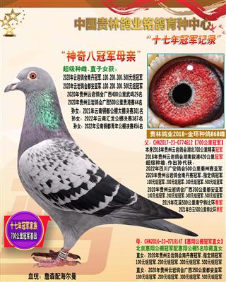 “神奇教母868“【神奇八冠女王母亲】