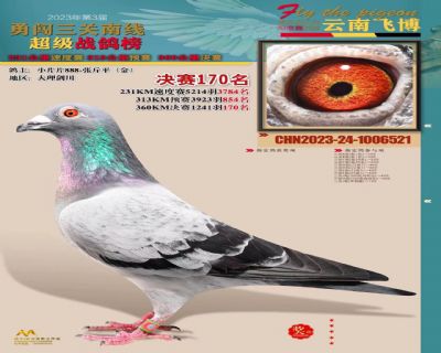 云南飞博决赛170位