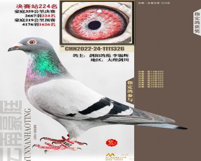 豪庭春棚224位