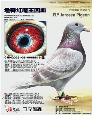 詹森红魔王回血