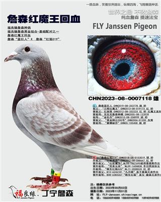 詹森红魔王回血