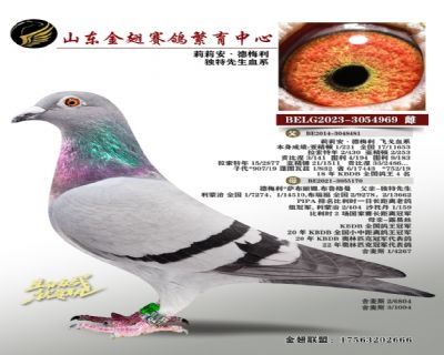 莉莉安·德梅利独特先生血系