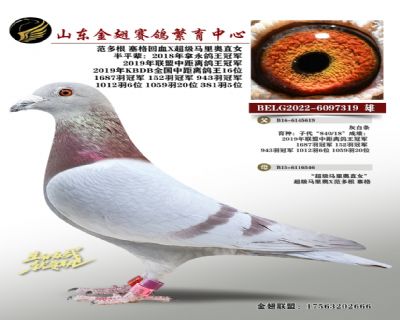 范多根 塞格回血X超级马里奥直女