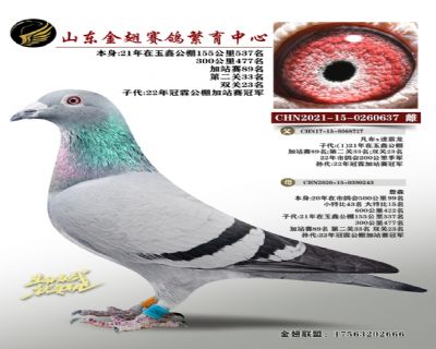 21年在玉鑫公棚双关23名