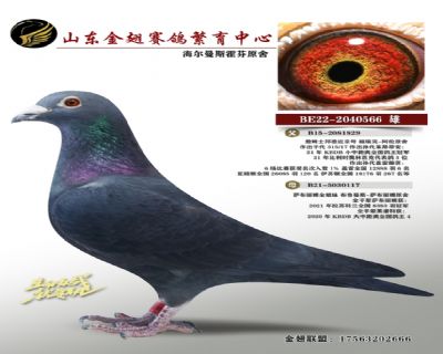 海尔曼斯霍芬原舍