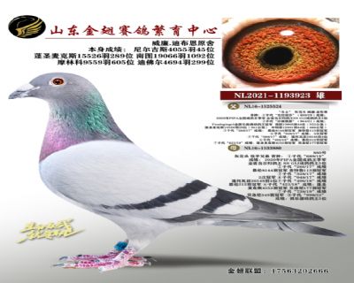 威廉.迪布恩原舍