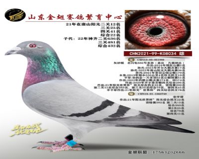 阳光22名