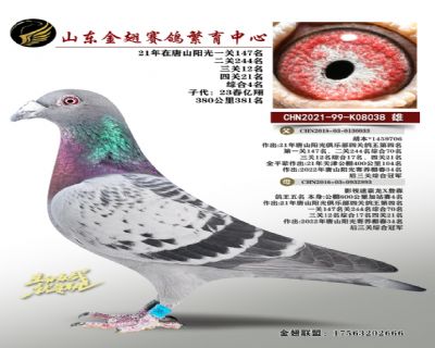 唐山阳光4名