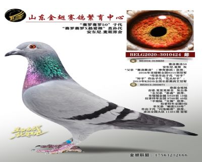 安东尼.麦斯原舍