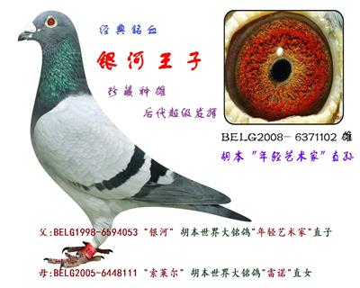 银河王子