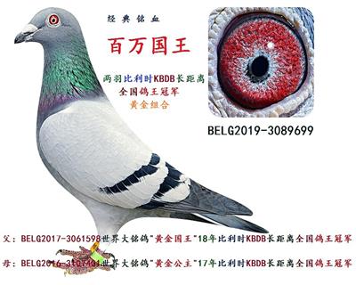 百万国王