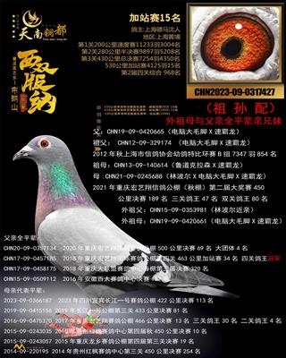 骠马7427