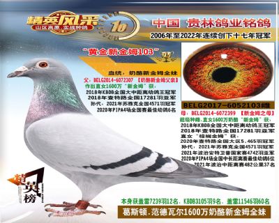 1600万奶酪新金母全姐