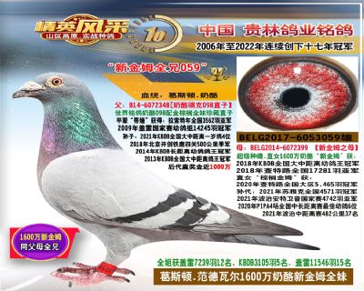 1600万奶酪新金母兄弟059