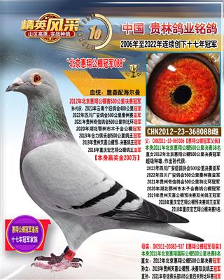 2012年北京惠翔公棚冠军