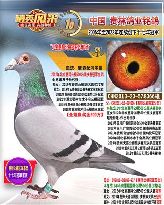 北京惠翔公棚冠军全弟