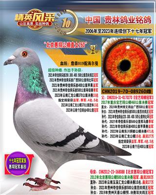 北京惠翔国际公棚决赛冠军珍藏直女